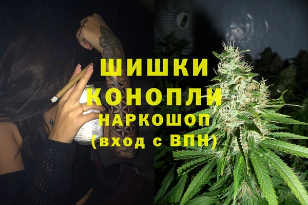 spice Надым