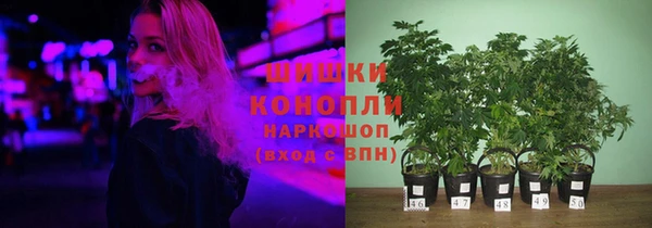spice Надым
