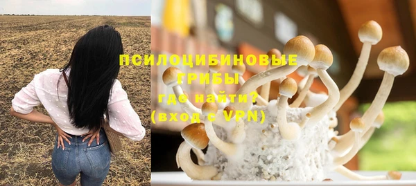 spice Надым