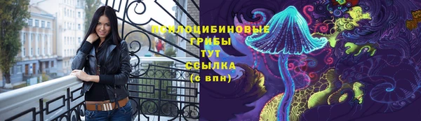 spice Надым