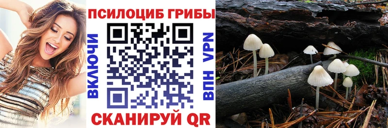 Галлюциногенные грибы Psilocybe  цены   Тетюши 